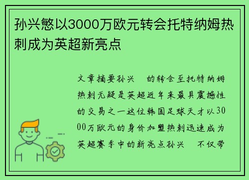 孙兴慜以3000万欧元转会托特纳姆热刺成为英超新亮点